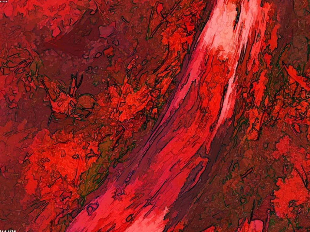 ការពិតនៃរង្វាន់៖ ចំណេះដឹងអំពីសុភមង្គលនៃរង្វាន់